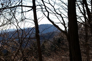 20100119063.jpg