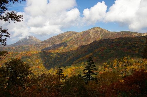 D20081009074.jpg