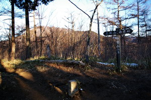 20100119025.jpg