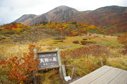 D20081009116.jpg