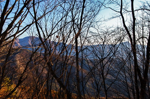 20100119021.jpg