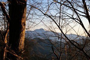 20100119018.jpg