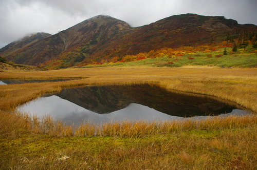 D20081009132.jpg