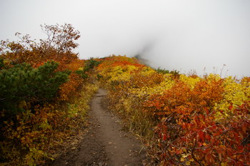 D20081009155.jpg