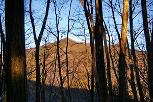 20100119014.jpg