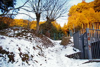 20100119011.jpg