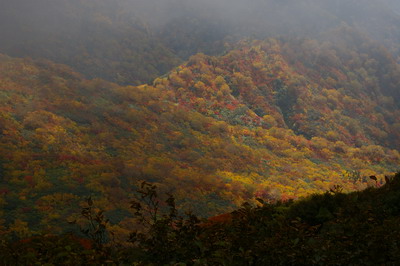 D20081009169.jpg