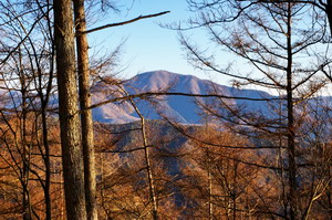 20100119044.jpg