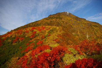 D20081010076.jpg