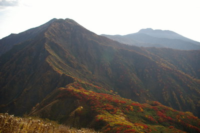 D20081010091.jpg