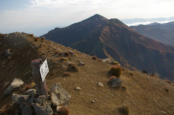 D20081010128.jpg