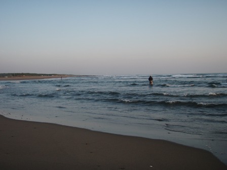 PC130006.JPG