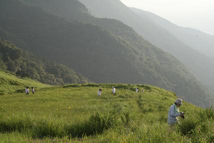 おとぎ野