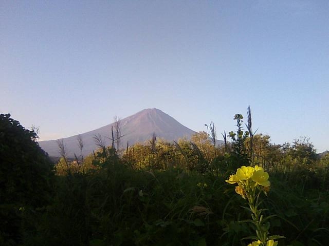 富士山と月見草