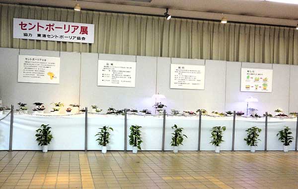 2010東山展示会1