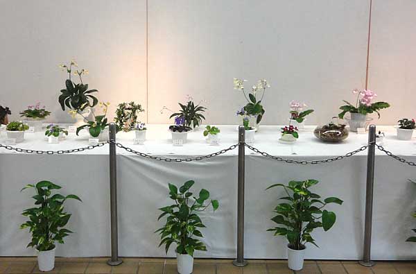 2010東山展示会2