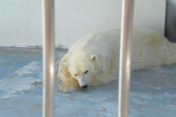 動物園 008.jpg