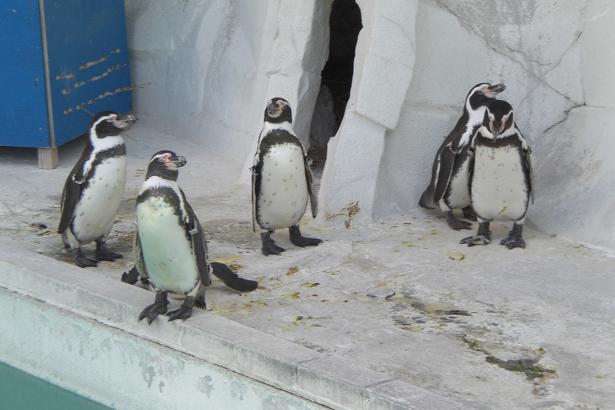 動物園 009.jpg