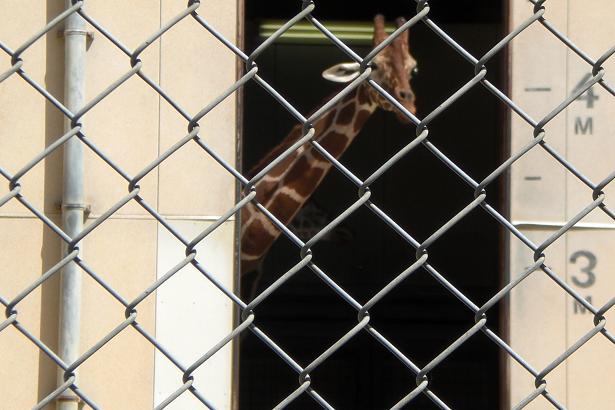動物園 014.jpg