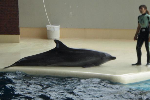 水族館 026.jpg