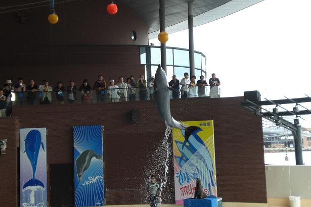 水族館 034.jpg