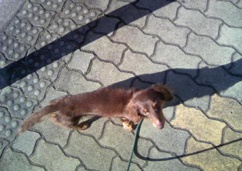 久々のひなたぼっこ♪