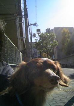 ひなたぼっこ中♪