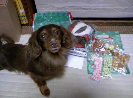 ニャンちゃんのプレゼント！？