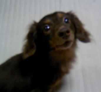 気にしない！気にしな～い！！