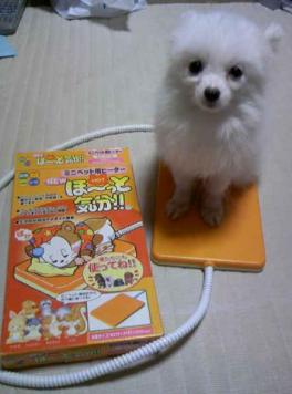 ポーちゃんのヒーター！