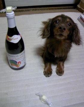 チーズといっしょにどうですか！？