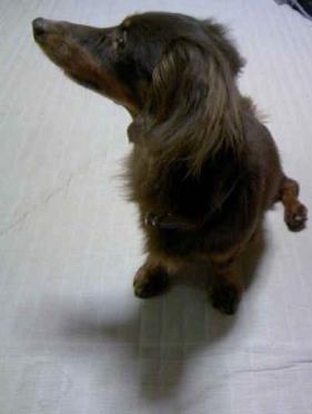 おいしそう・・・！？