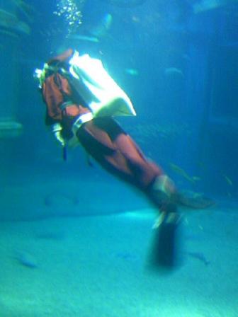 移動中の水中サンタさん！？