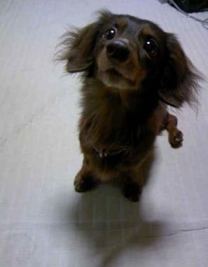 お魚さんのお友達がいっぱい!?