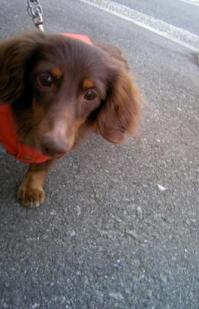 今日は風吹いてないよ！