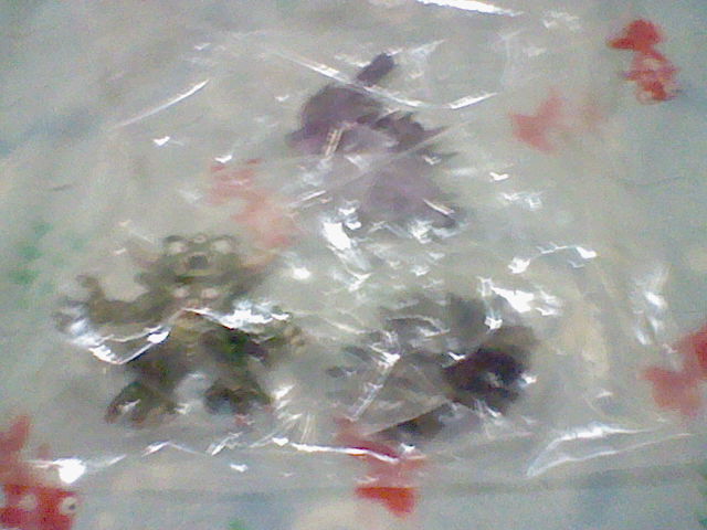HNI_0033.JPG