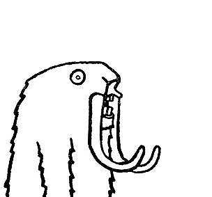 woolymarmot.jpg