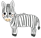 zebra edited.jpg