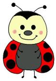 ladybug