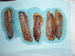 試食05225