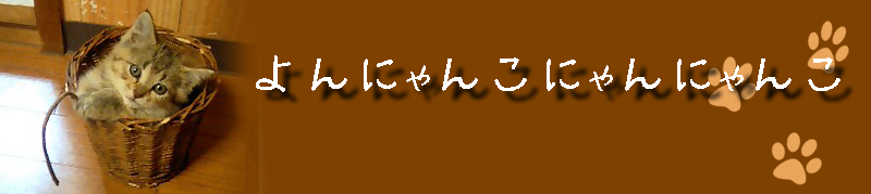 壁紙 よんにゃんこにゃんにゃんこ 楽天ブログ