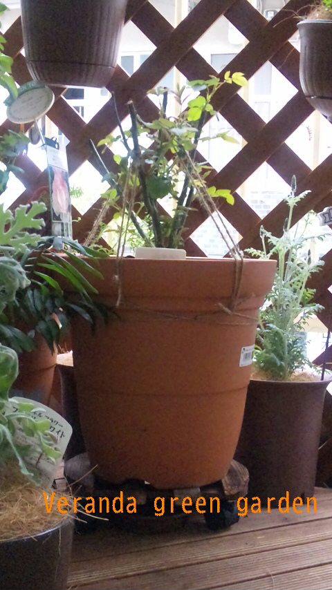 2010-03-06 10:58:44