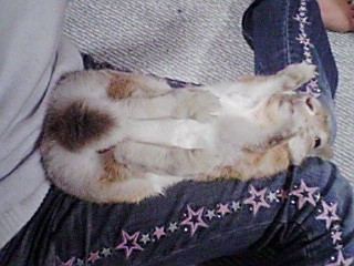070322_2055~01.jpg