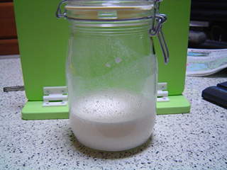 ヨーグルト酵母