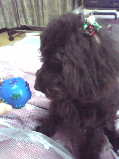 ラッキーの横顔