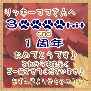 あずきさんより３万ヒット祝