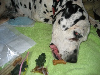 これ、おいしいね♪.