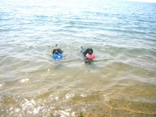 ジャック＆ジュリア　海3