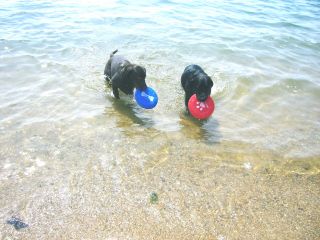 ジャック＆ジュリア　海4