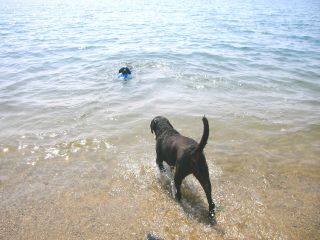 ジャック＆ジュリア　海5